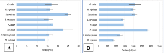 Figure 4: