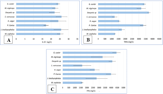 Figure 5:
