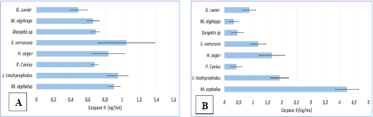 Figure 6: