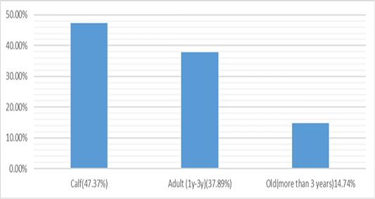 Figure 5: