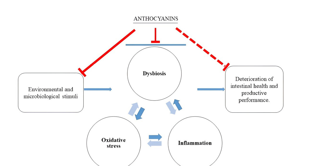 Figure 2: