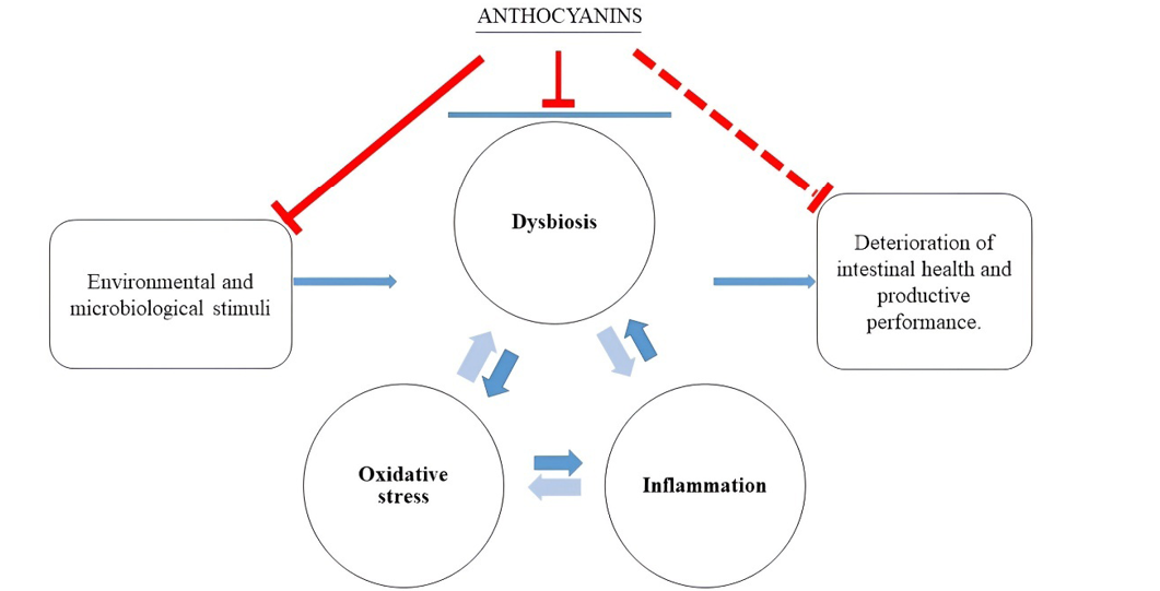 Figure 3: