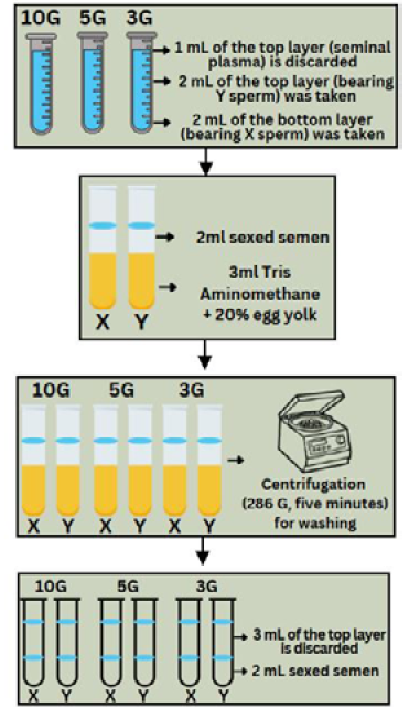 Figure 3: