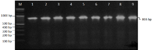 Figure 2: