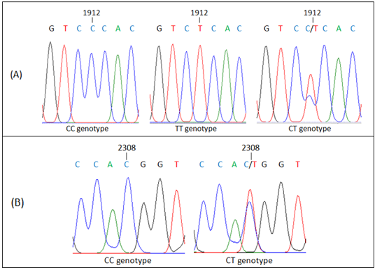 Figure 3: