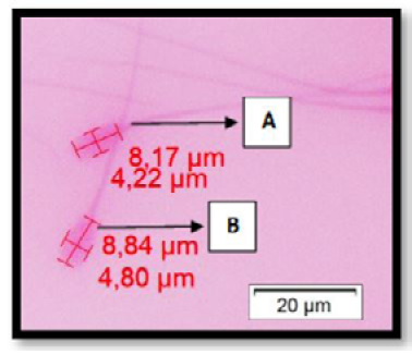 Figure 4: