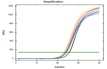 Figure 12: