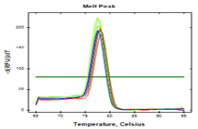 Figure 13: