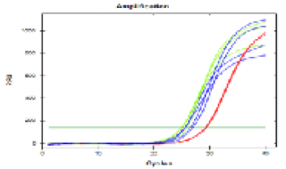 Figure 10: