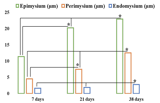 Figure 4: