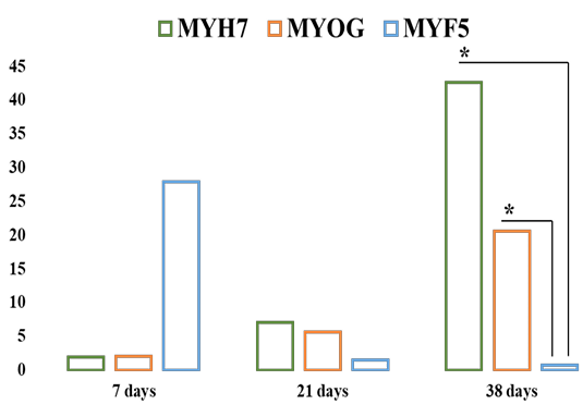 Figure 5: