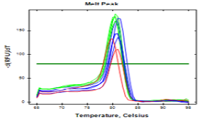 Figure 11: