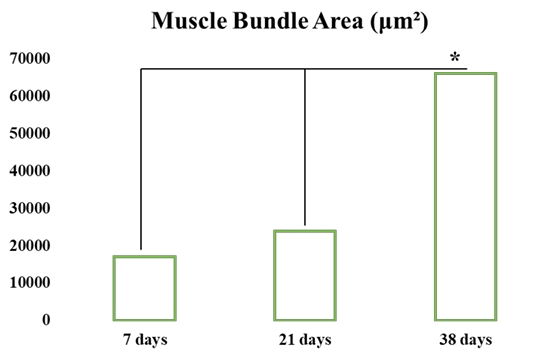 Figure 3:
