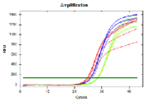Figure 6: