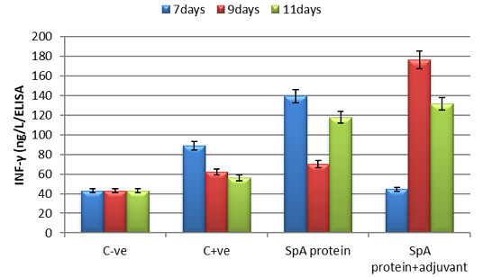 Figure 2: