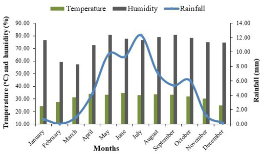 Figure 1: