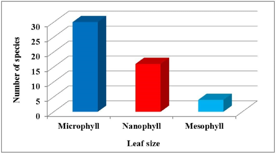 Figure 3: