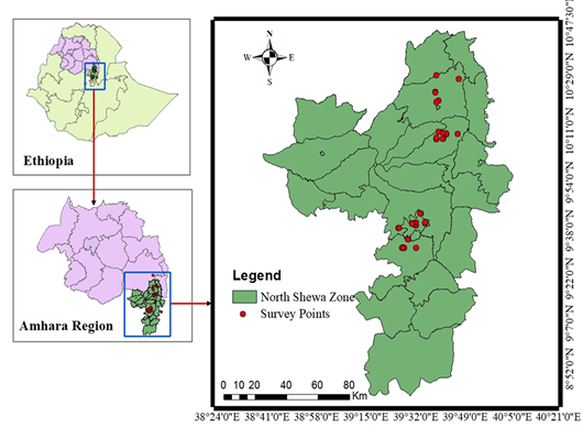 Figure 1: