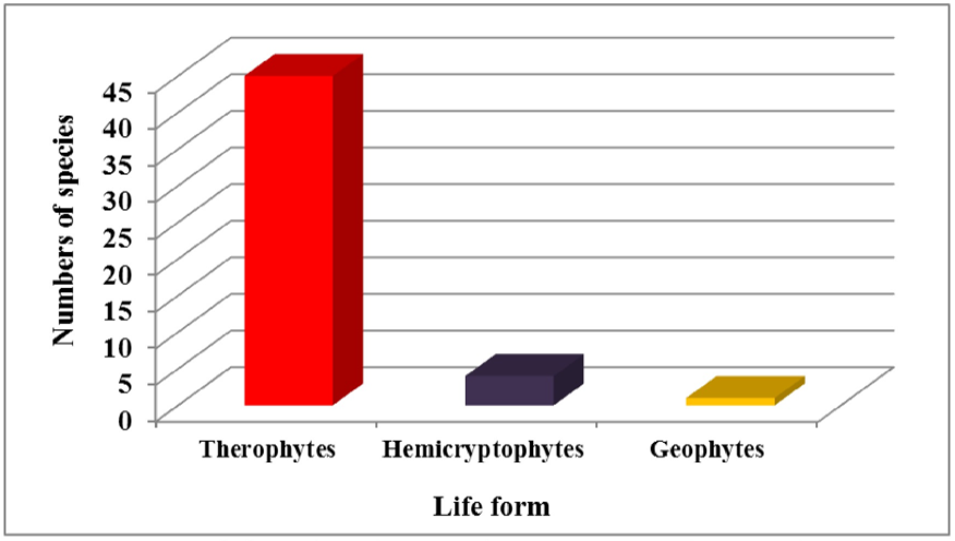 Figure 2: