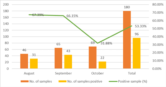 Figure 4: