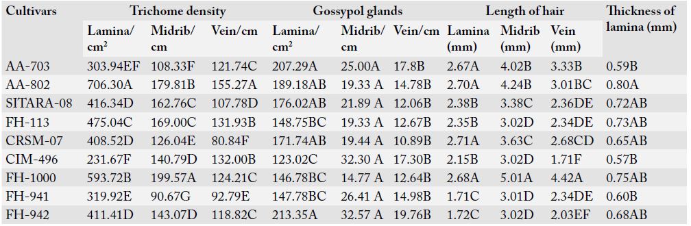 Table 5: