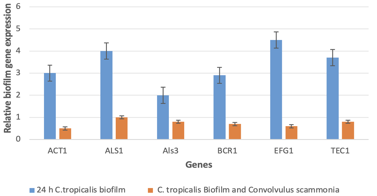 Figure 4: