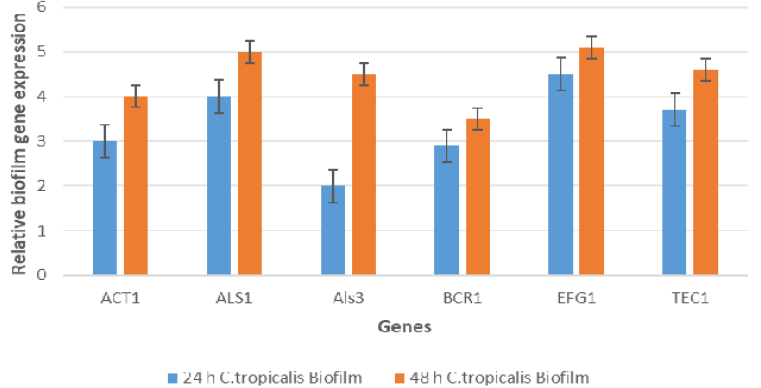 Figure 3: