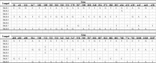 Figure 2: