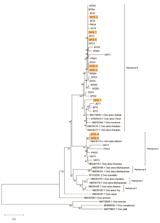 Figure 3: