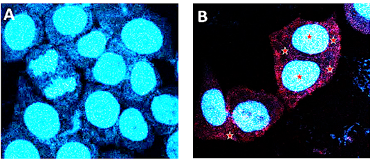 Figure 3: