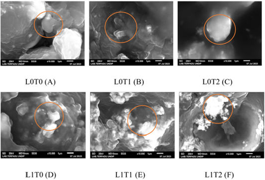 Figure 1: