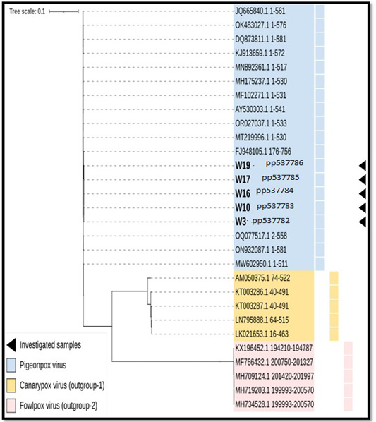 Figure 7: