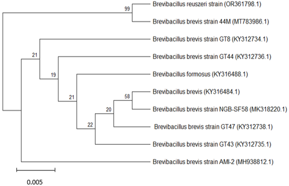 Figure 1: