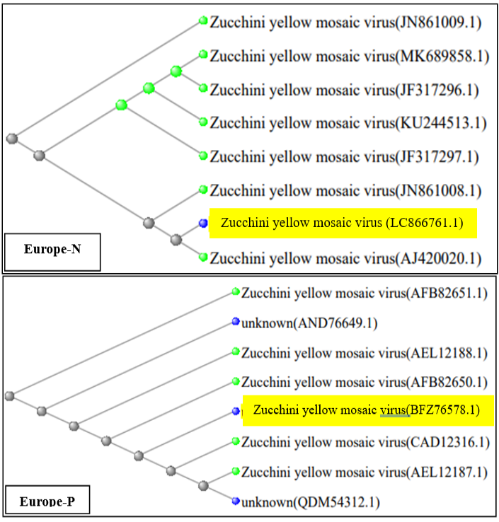 Figure 3: