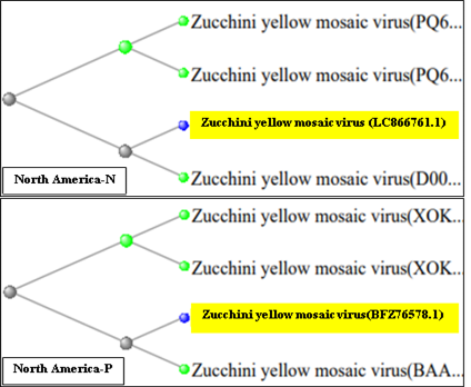 Figure 4: