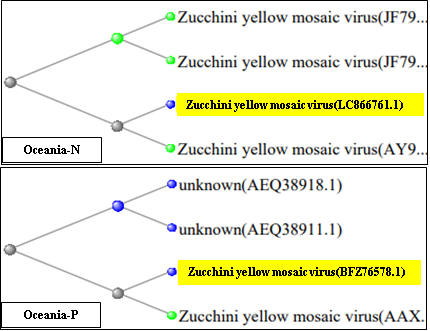 Figure 6: