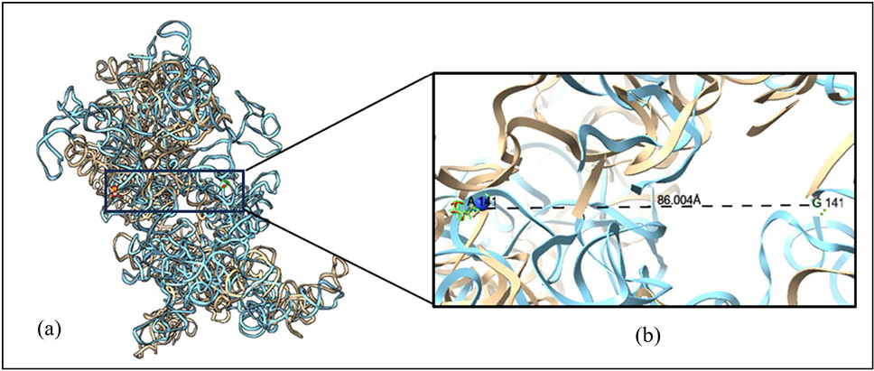 Fig. 5.