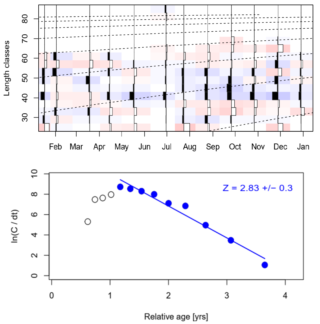 Figure 4: