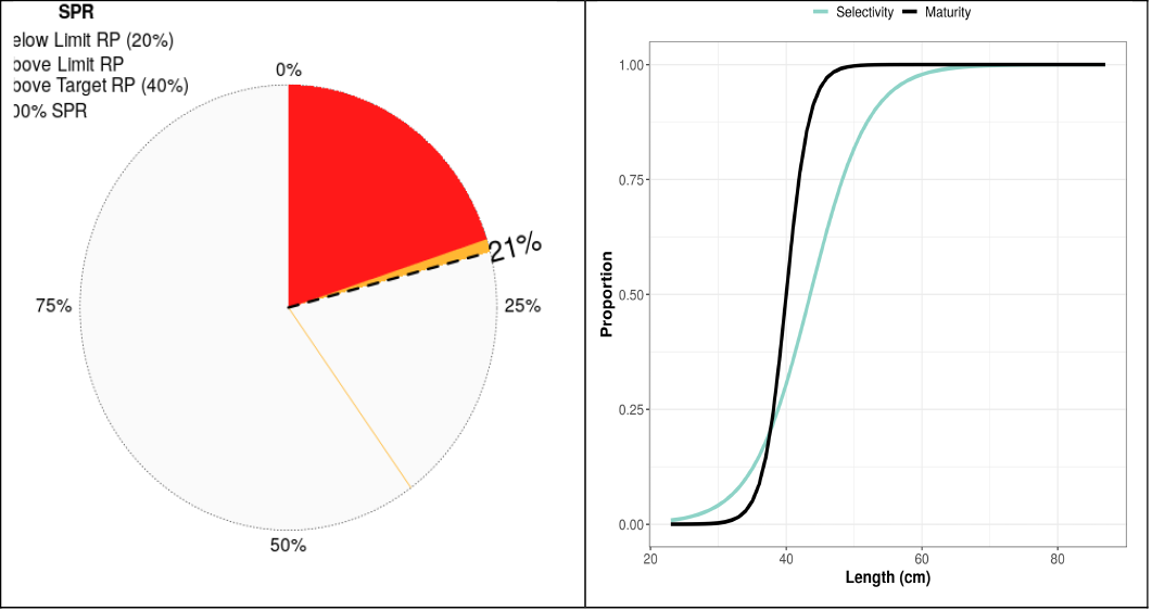 Figure 6: