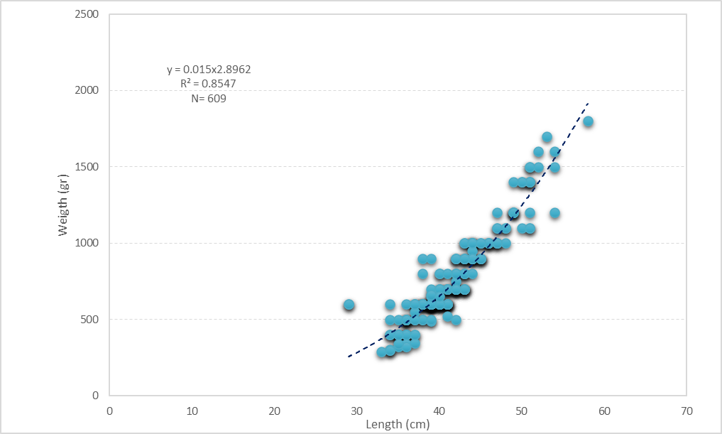 Figure 3: