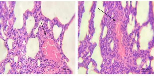 Figure 5: