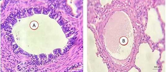 Figure 6: