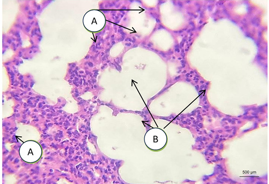 Figure 3: