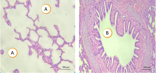 Figure 7: