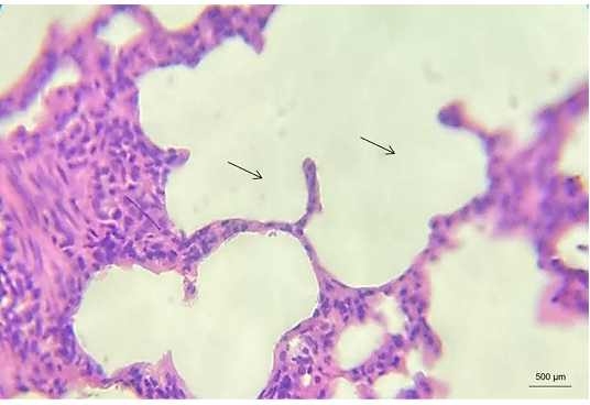 Figure 4: