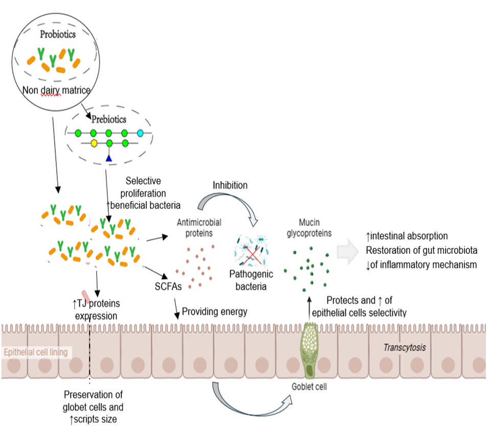 Figure 3: