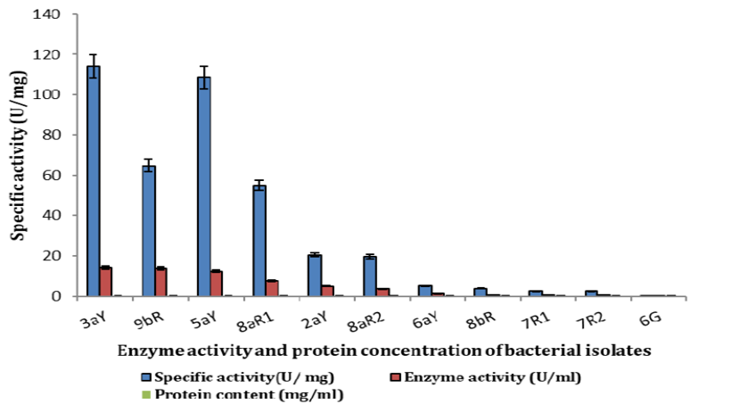 Figure 5:
