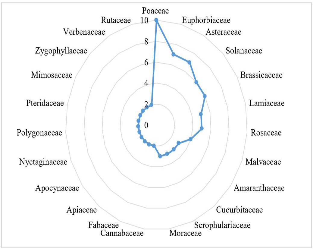 Figure 2:
