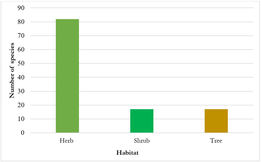 Figure 3: