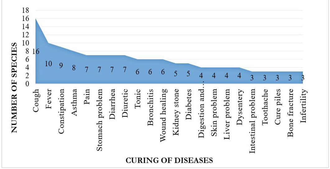 Figure 5: